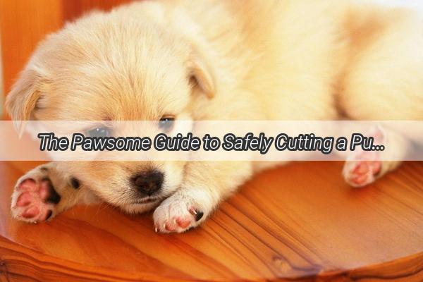 The Pawsome Guide to Safely Cutting a Puppys Umbilical Cord Every New Dog Owners MustKnow